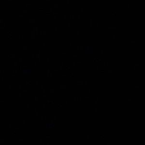 Meet your Posher, Kenya